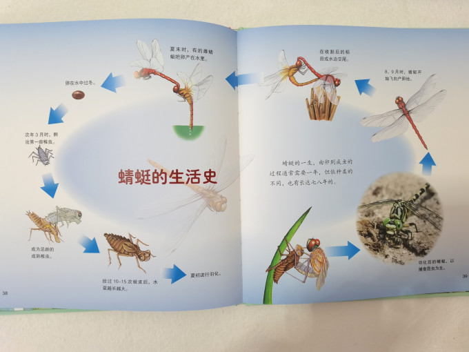 世界图书出版社绘本/图画书
