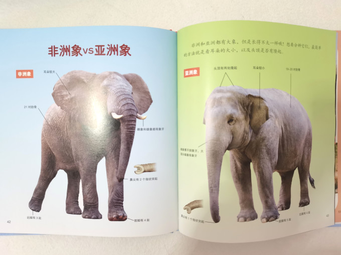 世界图书出版社绘本/图画书