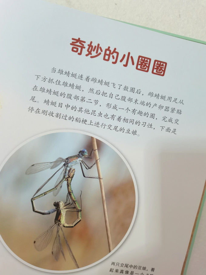 世界图书出版社绘本/图画书