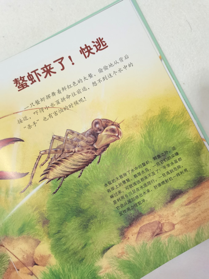 世界图书出版社绘本/图画书