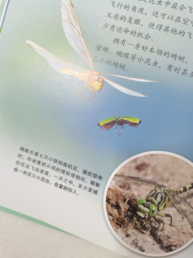 世界图书出版社绘本/图画书