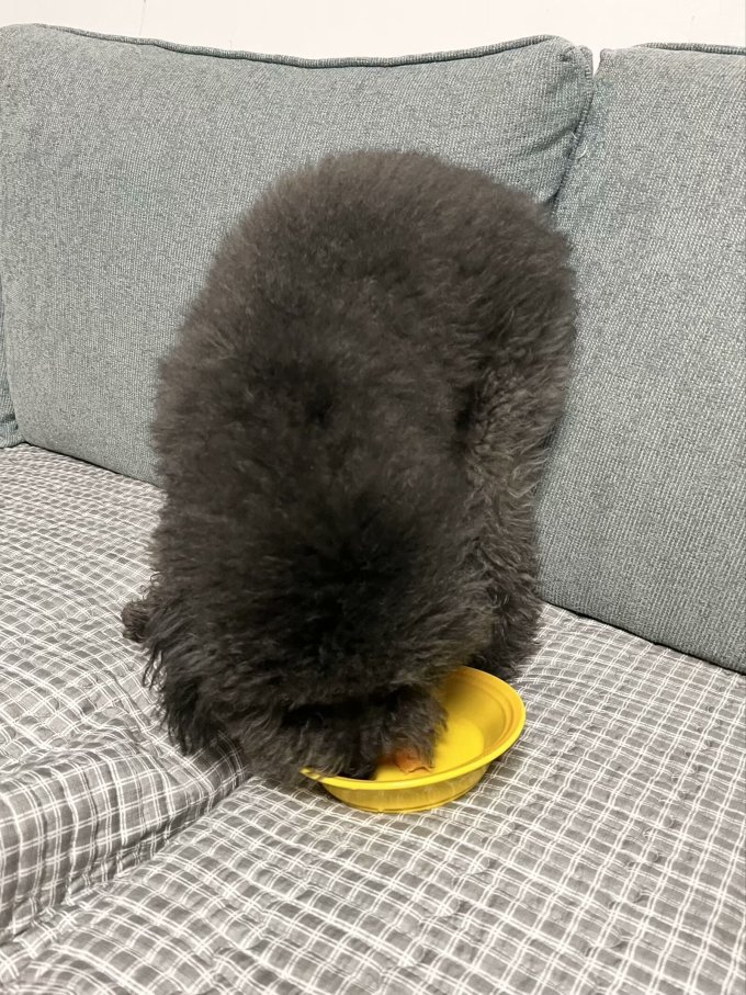 鲁香德蔬菜