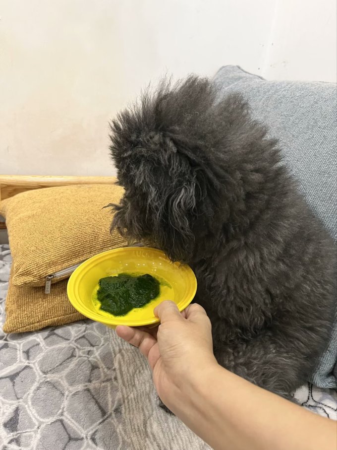 乔诚其他肉类