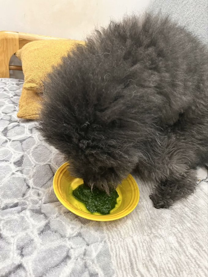 乔诚其他肉类