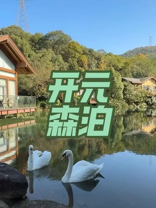包了一整个山头的开元森泊，怪不得是江浙沪家庭度假的热门选择。#日日新 #来浙就购了 #江浙沪周边游 #周末大放价 #藏于山水间的度假胜地推荐