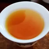 新手喝什么茶入门最好！