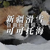 新疆滑雪自由行D3可可拓海滑雪场