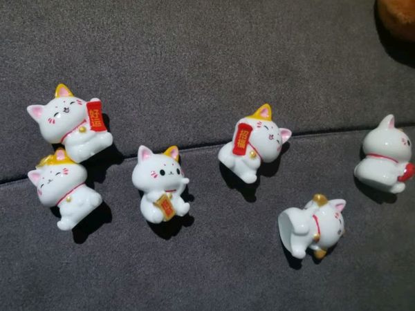 橘色萌猫，“驾”到福到