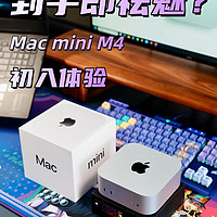 入手即祛媚？Mac mini M4初体验