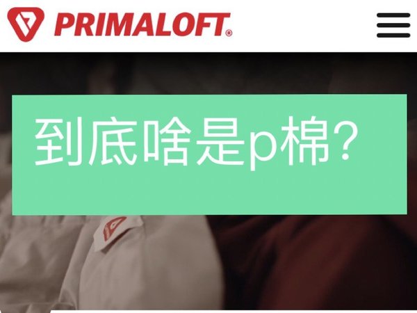 到底啥是p棉？被某宝某多整迷糊