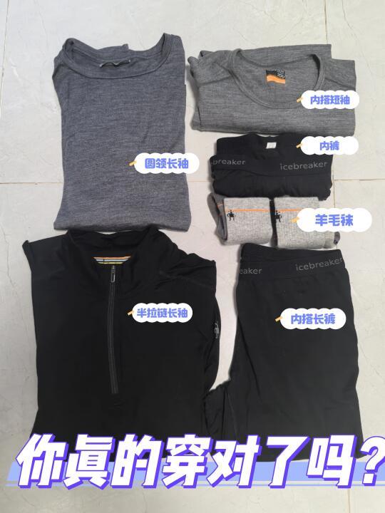 说一说美利奴羊毛打底