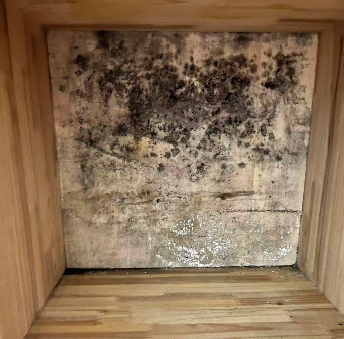 蓝月亮其他清洁用品