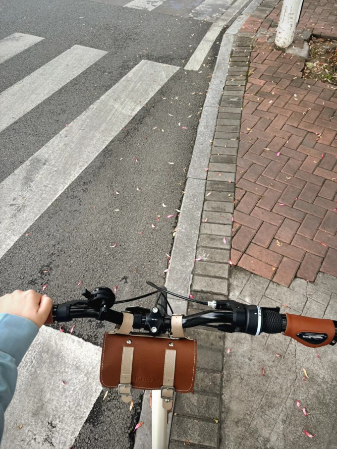 迪卡侬折叠车