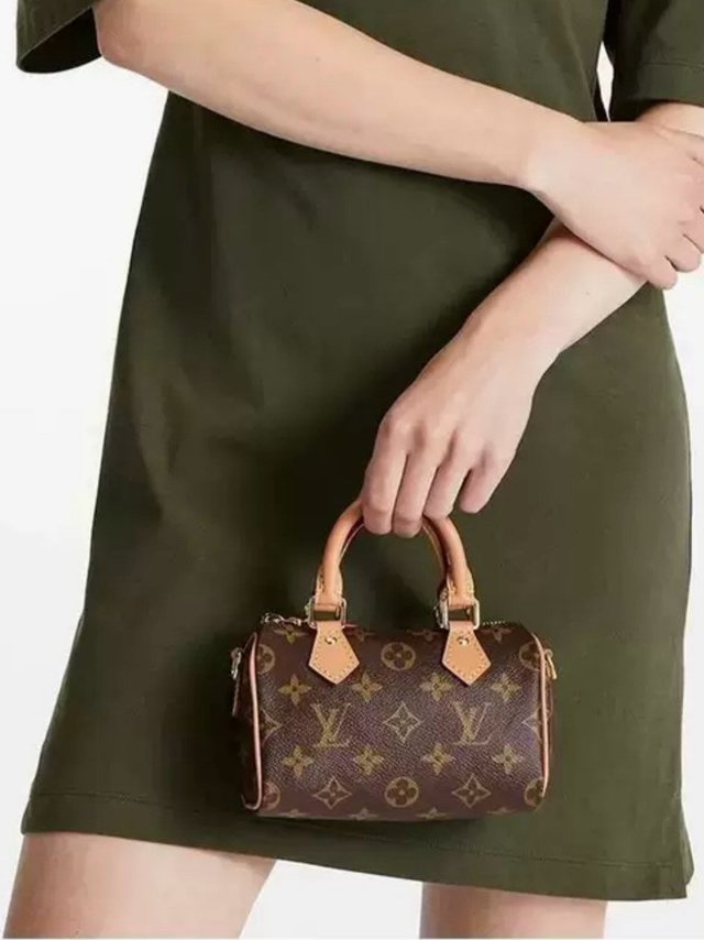 2025购物愿望清单：LV路易威登老花手袋👜