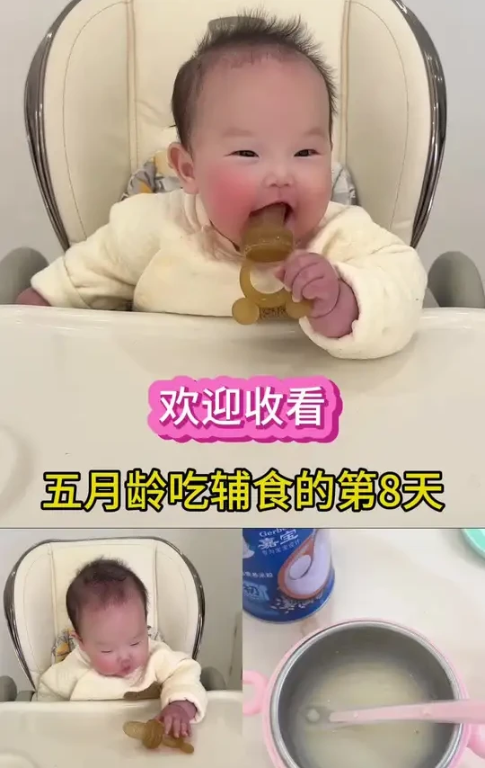 吃辅食的第8天，今日添加核桃油#初次添加米粉的正确方法 #给婴儿冲米粉的正确方法 #高铁米粉 #核桃油