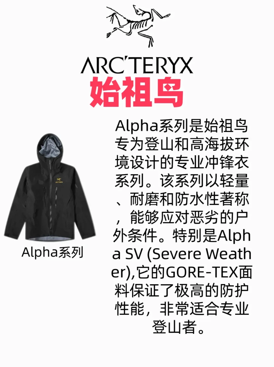 俄罗斯冬季出差必备：始祖鸟顶级装备指南