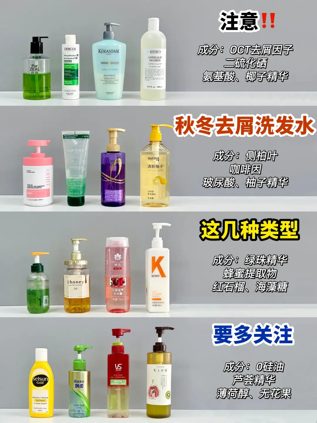 去屑洗发水选购指南:成分解析与品牌推荐
