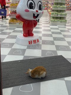 好久不上街，忽然发现实体店体验也不错