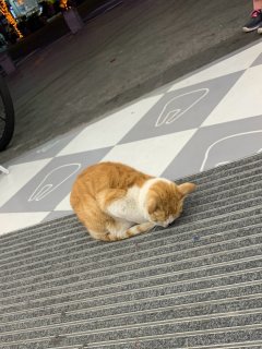 好久不上街，忽然发现实体店体验也不错