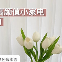 白色平价小家电｜性价比超高且实用性满满🤍