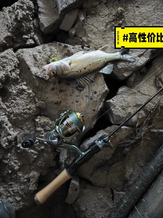 教你入门路亚选什么竿子，适合的路亚竿推荐