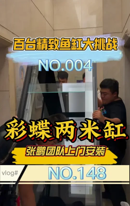 彩鲽两米缸