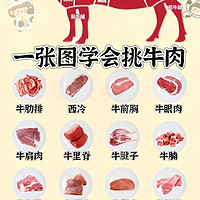 一张图学会挑牛肉 常见牛肉的区别