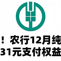 速度！农行12月纯送钱！31元支付权益