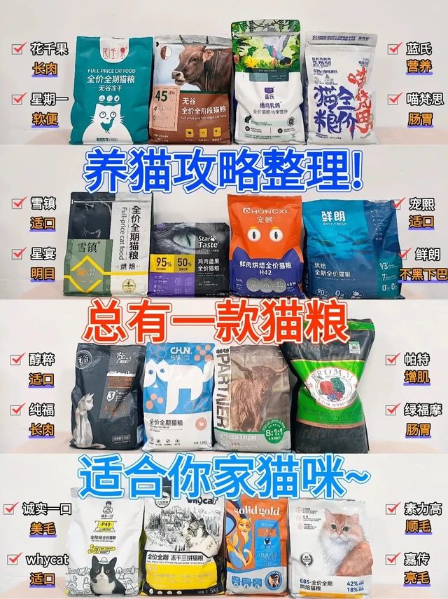 养猫攻略整理❗总有一款猫粮适合你家猫咪~新手做好攻略养猫其实也很简单💁‍♀，我也是做了很多攻略才养出现在“大个胖海参”的，毕竟我家以前也是个挑嘴猫😁，之前选的猫粮不是它不爱吃，就是吃完不长肉、毛发也不
