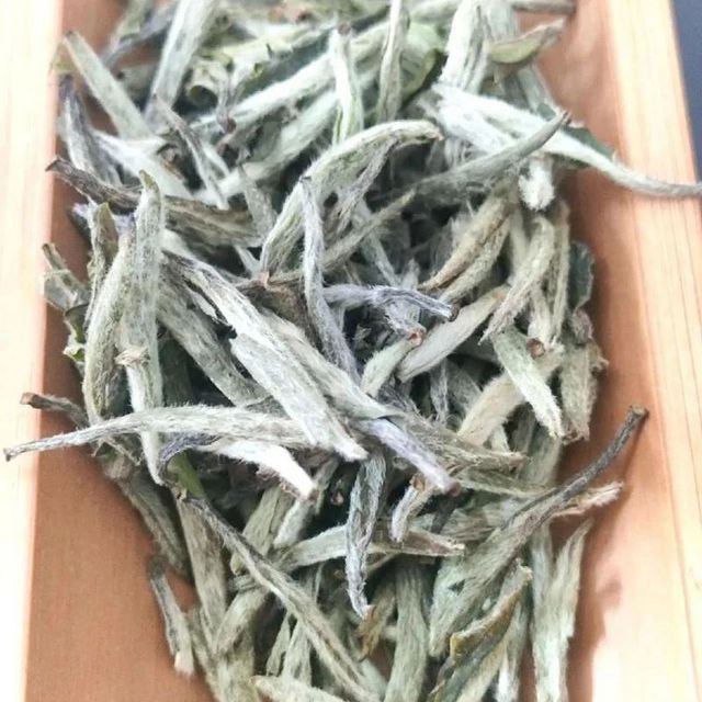 福鼎白茶：茶中翘楚的独特魅力与甄别之道