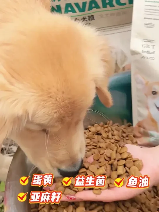 一斤只要10块钱就可以吃到这款全鲜肉夹心汪酥！耐威克年货节给狗狗贴秋膘啦 快来直播间现在还有好多赠品~#耐威克鲜肉狗粮