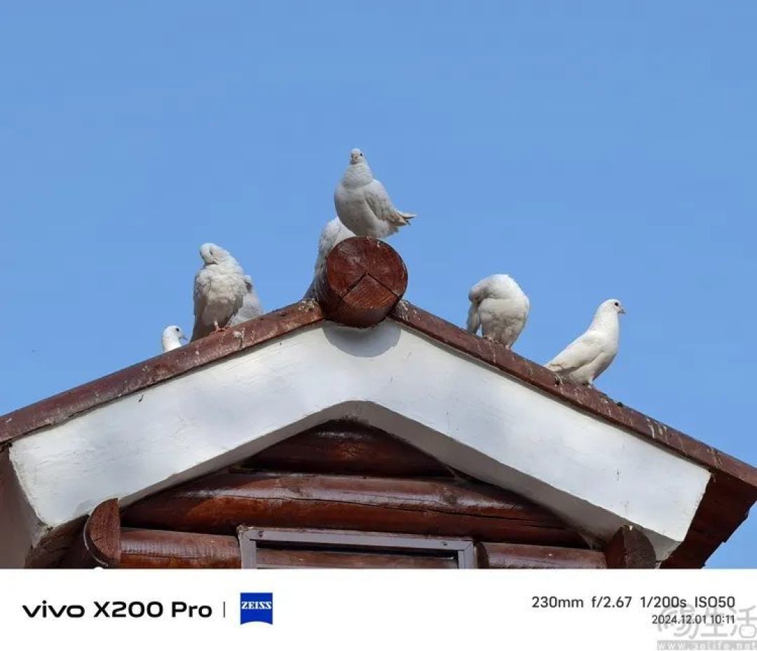 vivo X200 Pro mini详细解析:mini和Pro全都要