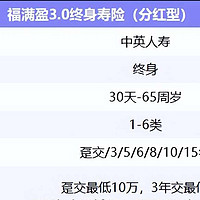 中英人寿福临门两全A款+福满盈3.0终身寿险分红型，全面解析