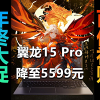 翼龙15 Pro开启百亿补贴 到手价低至5599元！