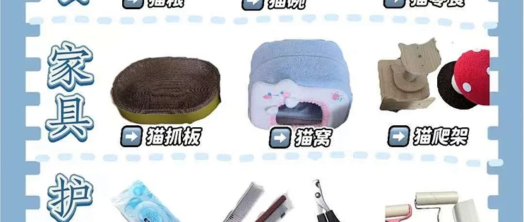 新手养猫全攻略：从接猫到日常护理详解
