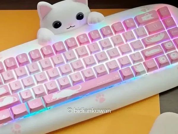 送女友，送猛男？X-Bows猫咪硅胶机械键盘上手，玩转个性客制化