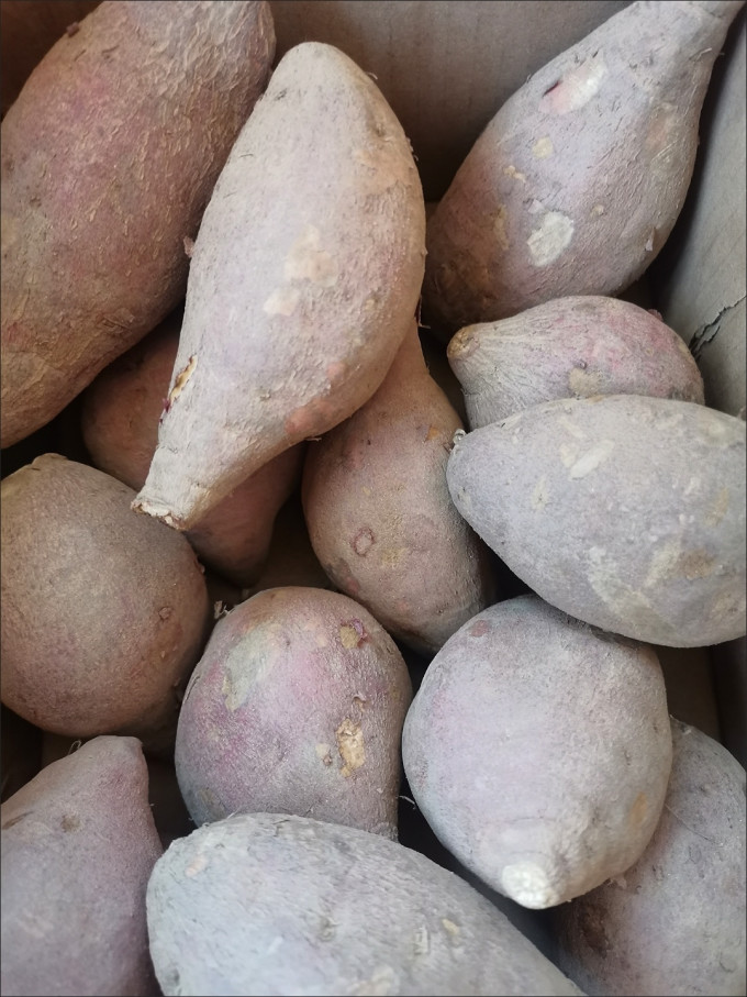 京觅蔬菜
