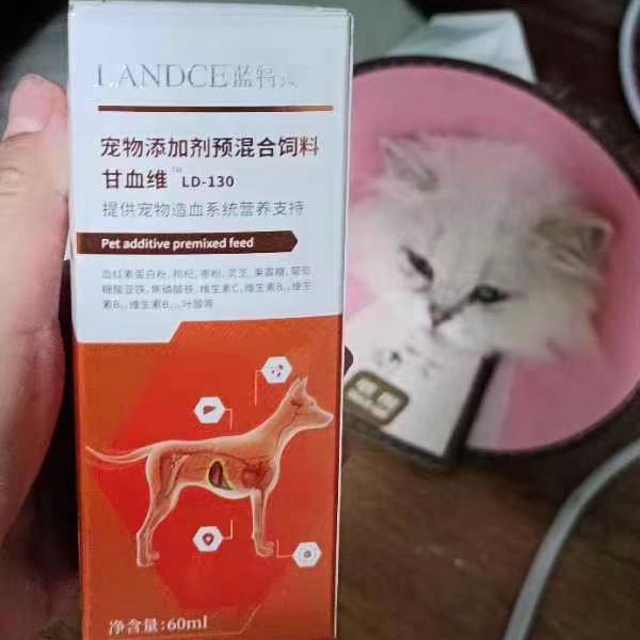 😱 猫咪嗜睡少食鼻头白？竟是贫血在作祟！