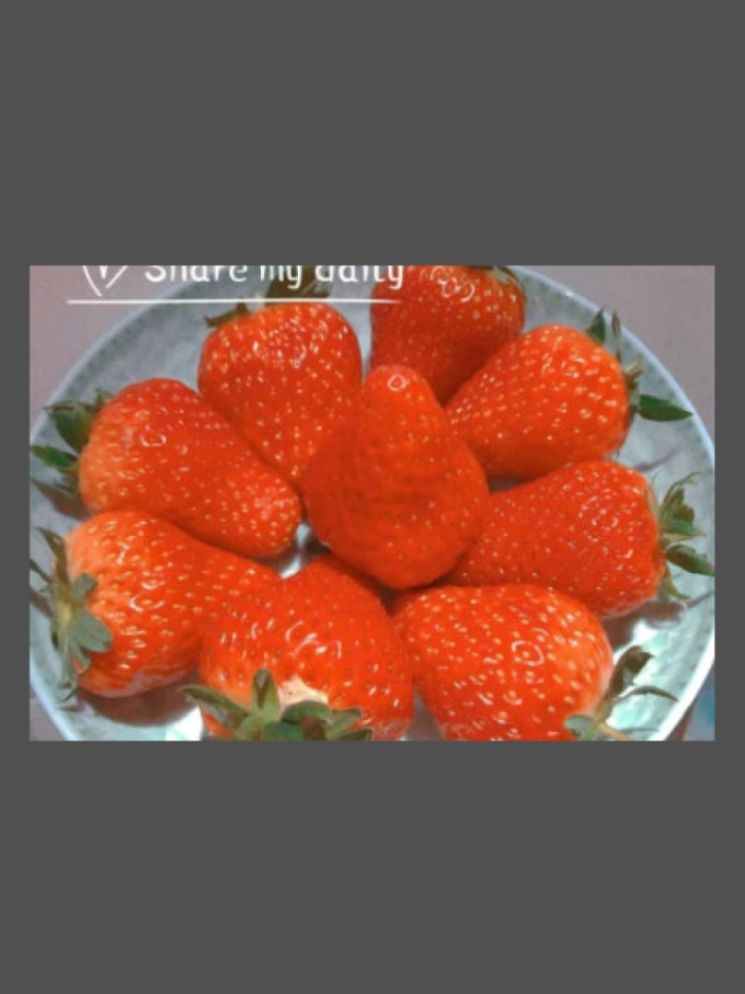 春福乐草莓