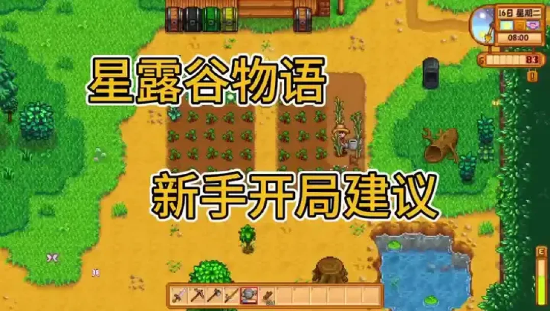 新手必备！《星露谷物语》理想农场打造全攻略