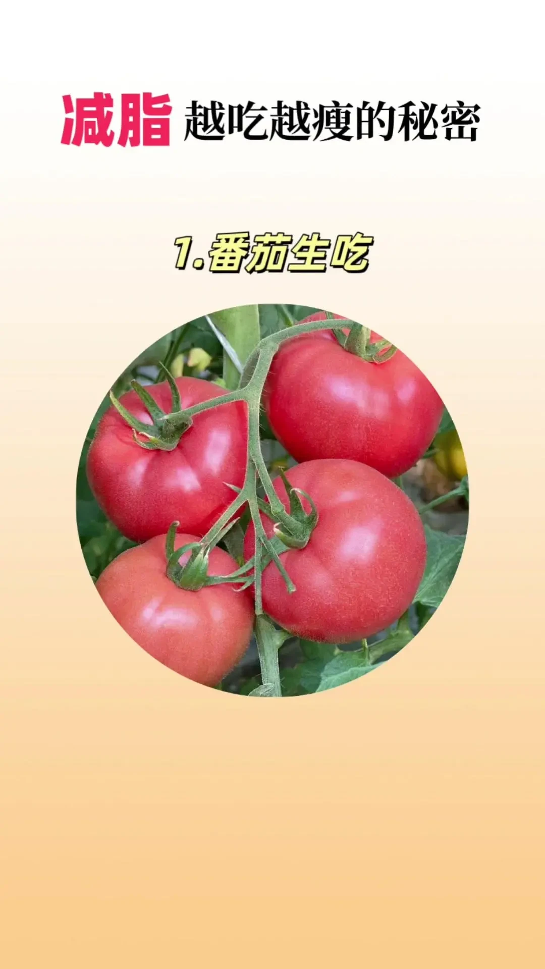 内容精选集|减脂期间健康饮食指南享受美味与健康共存