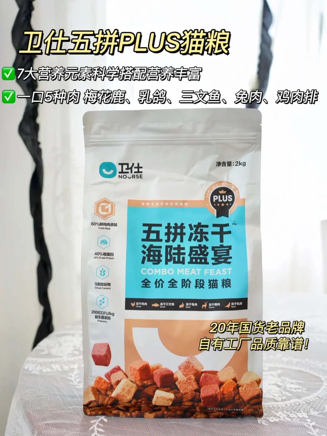 内容精选集|养猫小贴士助你喂出健康胖嘟嘟的萌宠