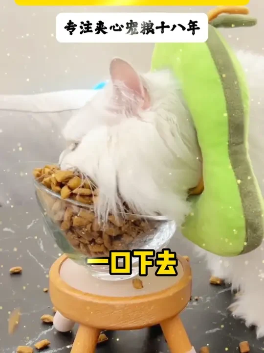 入冬后不知道怎么选猫粮的家长看过来！ #耐威克夹心喵酥