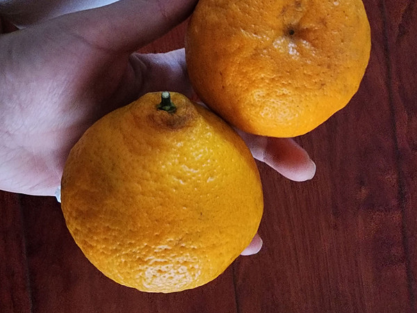 春日必备！鲜甜爆汁的四川耙耙柑🍊