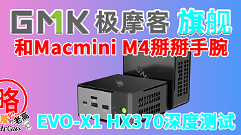 和Macmini M4能掰掰手腕？HX370又添新旗舰极摩客EVO-X1深度测试