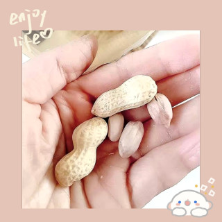 老街口花生🥜颗粒虽小，美味不减分！