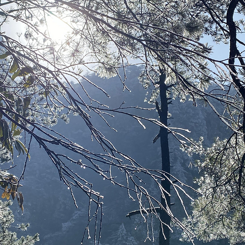 冬天带娃登武功山观雪，这些登山防寒装备一个都不能少！