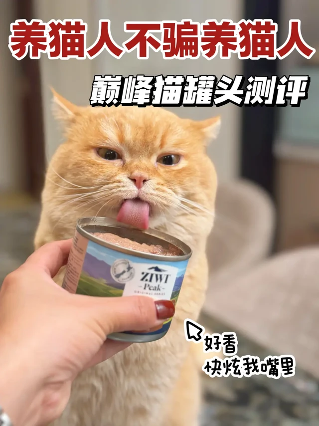 市面上猫罐头那么多🙋‍♀️为啥我偏爱巅峰？