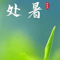 🌼处暑阳台种花，我学会了‘草木皆兵’🌱