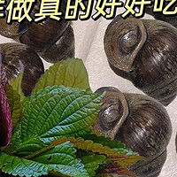 紫苏炒田螺：夏夜的烟火滋味